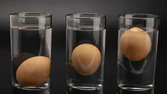 水で卵をテストする：10秒で鮮度を確かめる簡単な方法