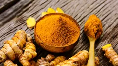身近なスパイスで関節ケア：ウコン（ターメリック）について科学が示すこと